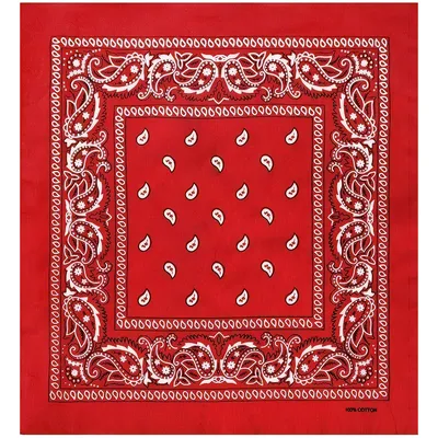 Ірина