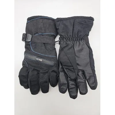 Перчатки мужские лыжные плащевые A-7723 LUCKYLOONG L Черный с синим